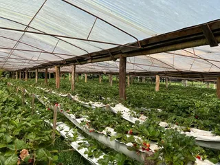 Área rural, foto 8