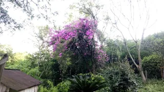 Área rural com 2 dormitórios, foto 9