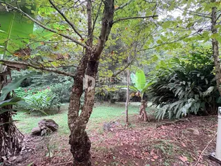 Área rural com 2 dormitórios, foto 37