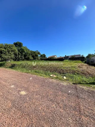 Terreno, foto 3