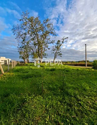 Terreno, foto 1