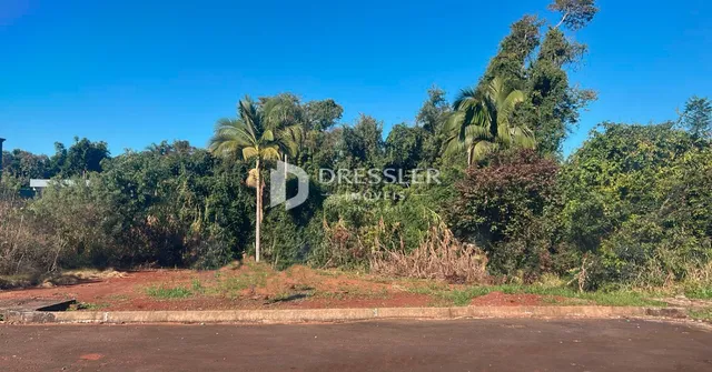 Vista da propriedade com vegetação densa no fundo.