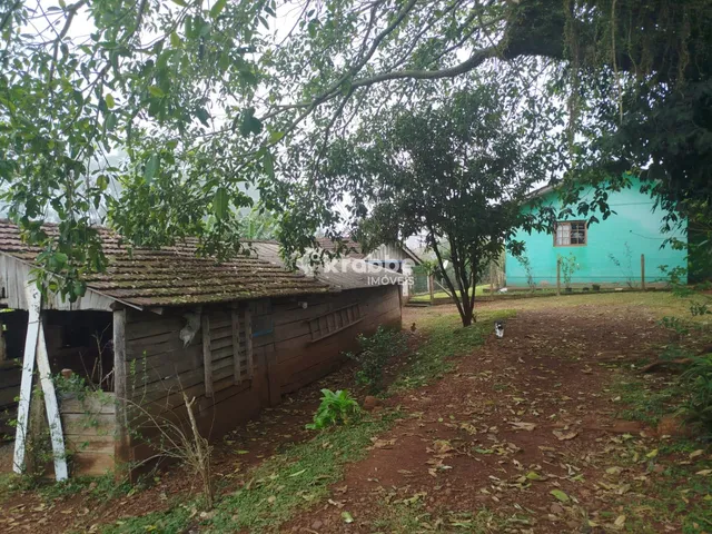Área rural com 3 dormitórios, foto 4