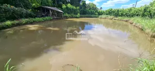 Área rural com 4 dormitórios, foto 7