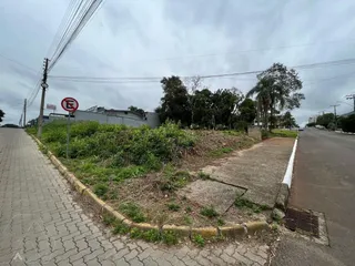 Terreno, foto 2