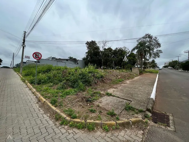 Terreno, foto 2