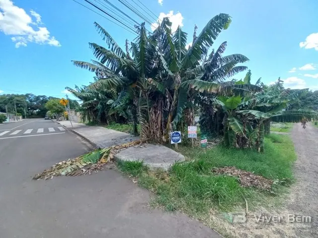Terreno