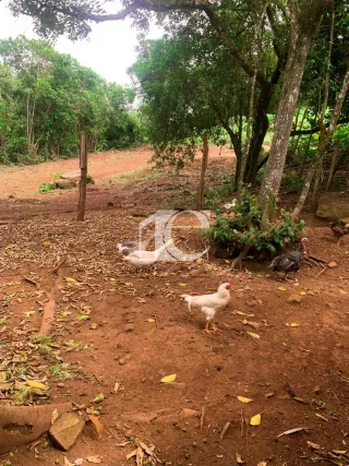 Área rural, foto 11