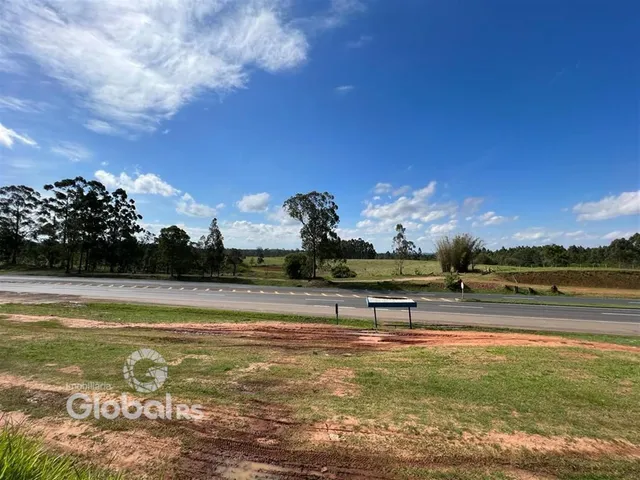Paisagem de uma estrada e campo com vegetação ao fundo.