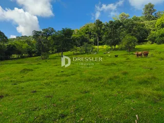 Área rural, foto 24