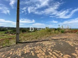 Vista de paisagem rural com vegetação e estrada no Brasil.
