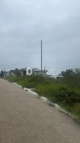 Vista externa de uma propriedade com vegetação ao lado de uma estrada.