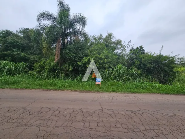 Terreno, foto 2