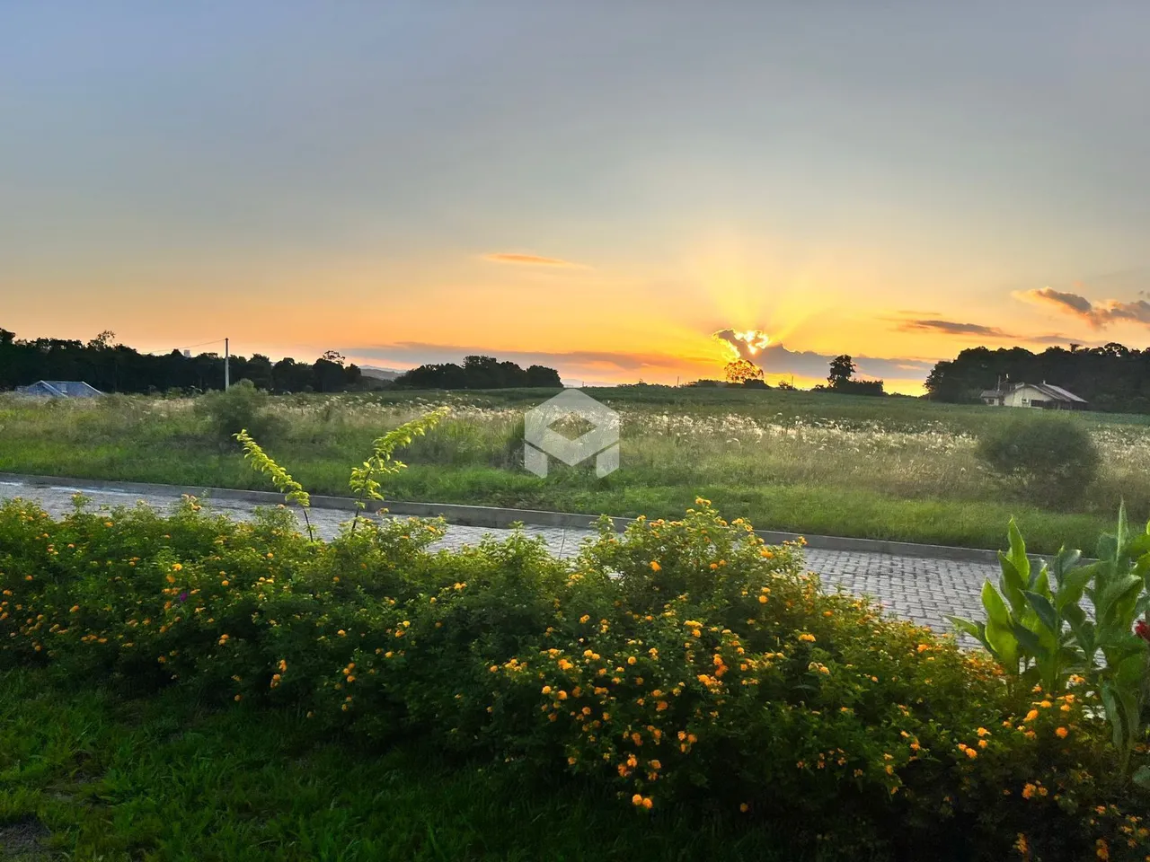 Paisagem de campo com vegetação em primeiro plano ao pôr do sol.