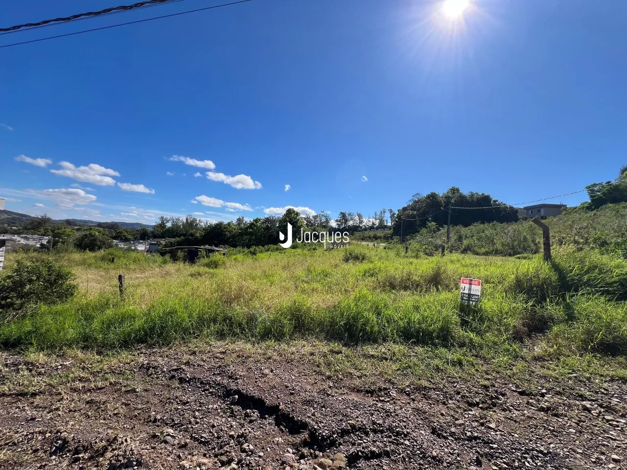 Paisagem de campo com vegetação e terra sob um céu azul claro.