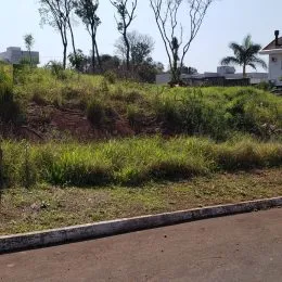 Vista externa mostrando vegetação densa e grama alta em uma área do terreno.