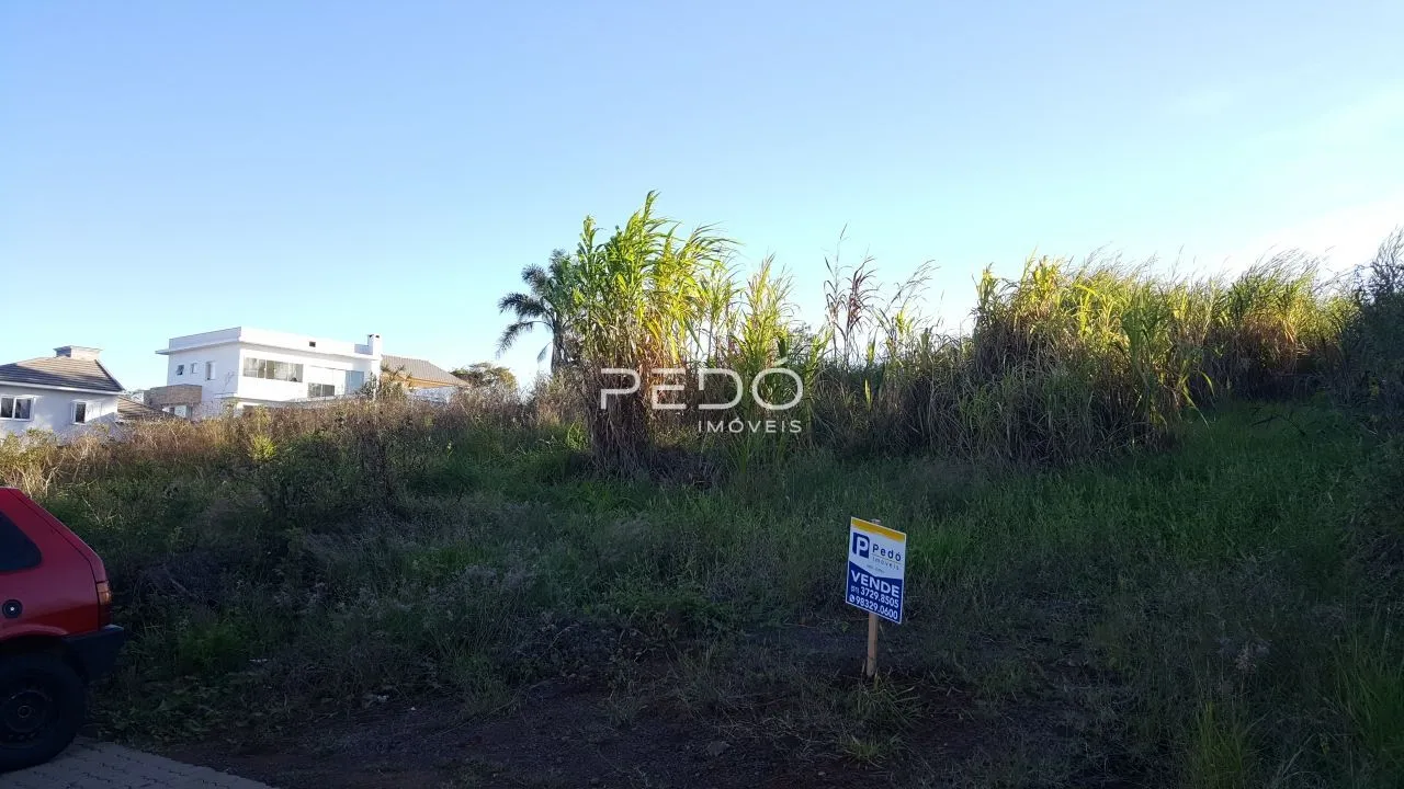 Terreno, foto 1