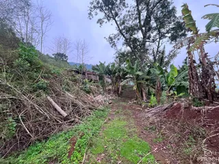 Área rural, foto 3