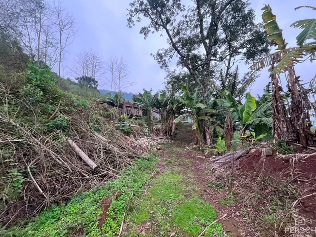 Área rural, foto 3