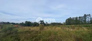 Área rural, foto 17
