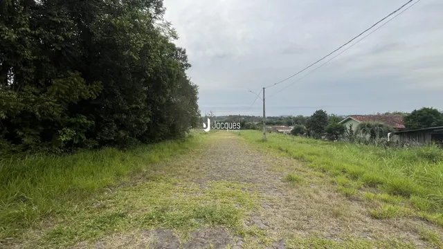 Vista da propriedade com um caminho de terra e vegetação ao redor.
