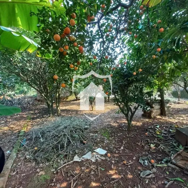 Casa com 2 dormitórios, foto 3