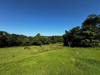 Área rural, foto 10