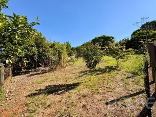 Terreno, foto 4