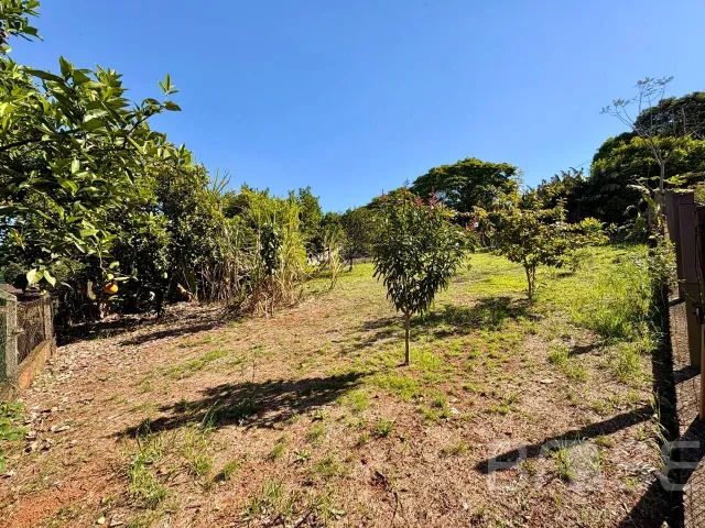 Terreno, foto 4