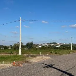 Vista de uma estrada com vegetação sob um céu azul claro.
