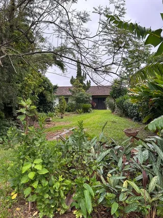 Casa com 2 dormitórios, foto 4