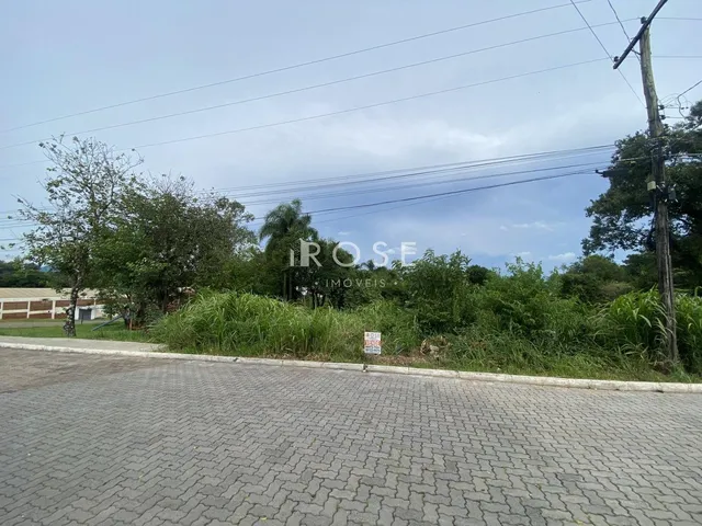 Terreno, foto 3