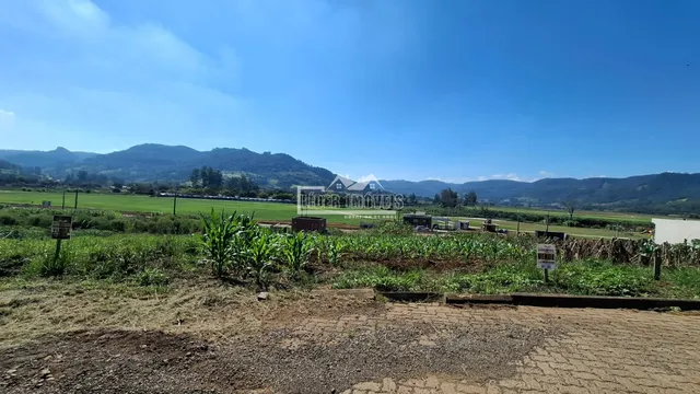 Terreno, foto 3