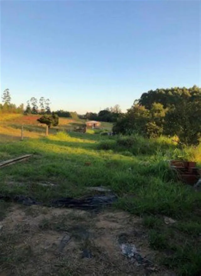 Terreno, foto 3