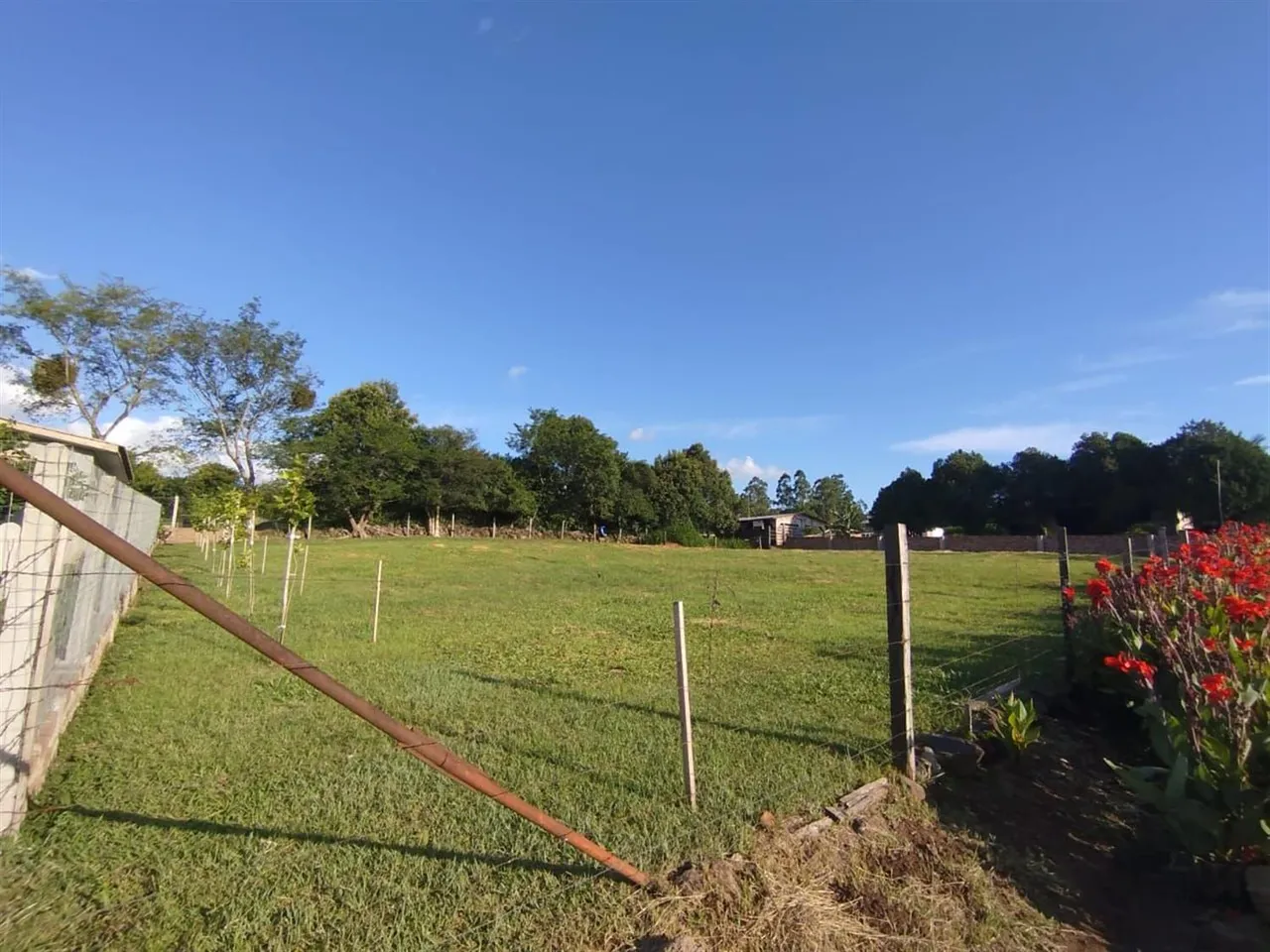 Terreno, foto 1