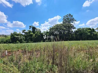 Terreno, foto 14