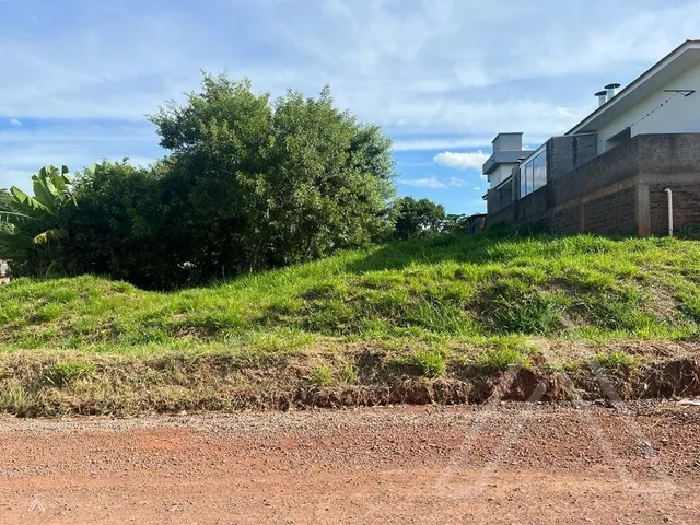 Terreno