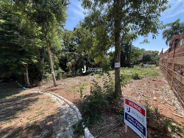 Terreno, foto 3