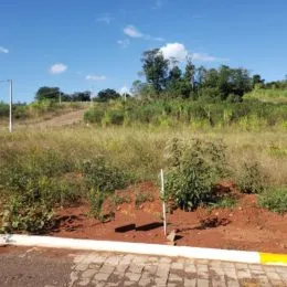 Vista externa de uma área com vegetação rasteira e estrada de terra.
