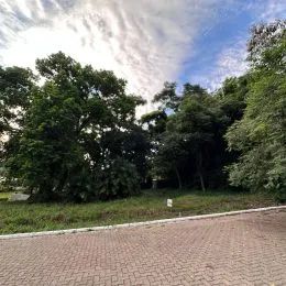 Terreno, foto 3