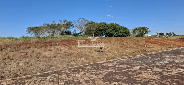 Terreno, foto 3