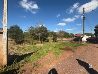 Vista externa de uma propriedade com vegetação e estrada de terra.