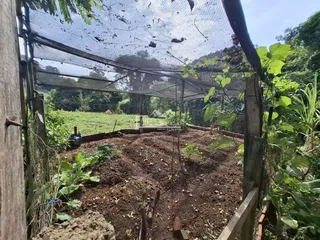Área rural, foto 22