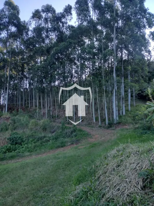 Área rural com 2 dormitórios, foto 2