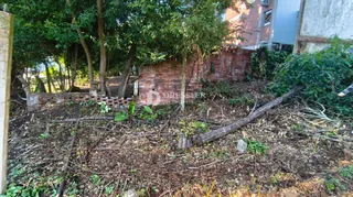 Terreno, foto 3