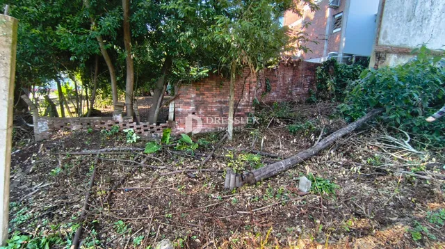Terreno, foto 3