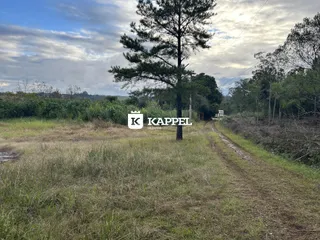 Área rural com 2 dormitórios, foto 16