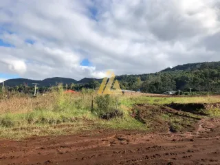 Terreno, foto 3