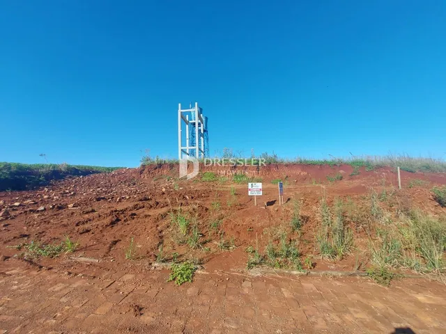 Paisagem de terra vermelha e vegetação rasteira em uma área aberta.