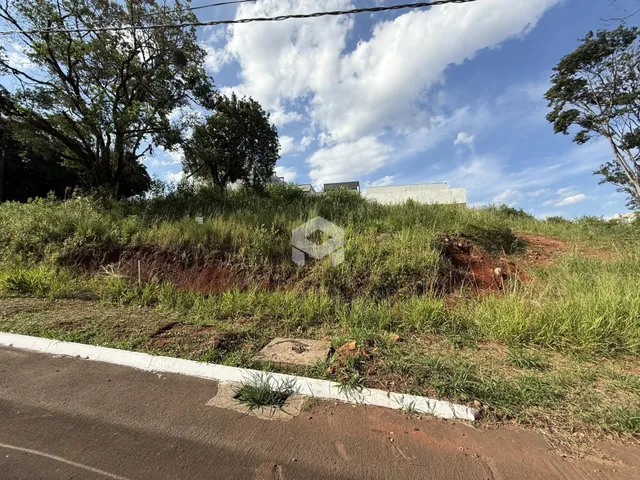 Vista da propriedade com vegetação e estrada no primeiro plano.